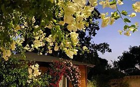 B&B Il Girasole