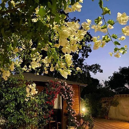 B&B Il Girasole SantʼAnna Arresi Extérieur photo