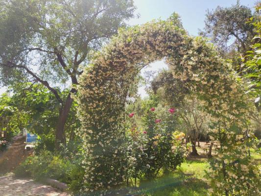 B&B Il Girasole SantʼAnna Arresi Extérieur photo